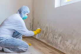 Reliable Roselle, NJ Mold Prevention & Removal  Solutions